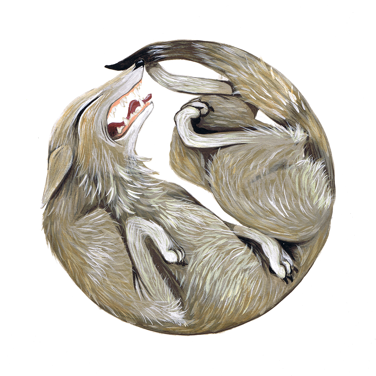 squished animals red fox otter albino deer coyote Round Animals