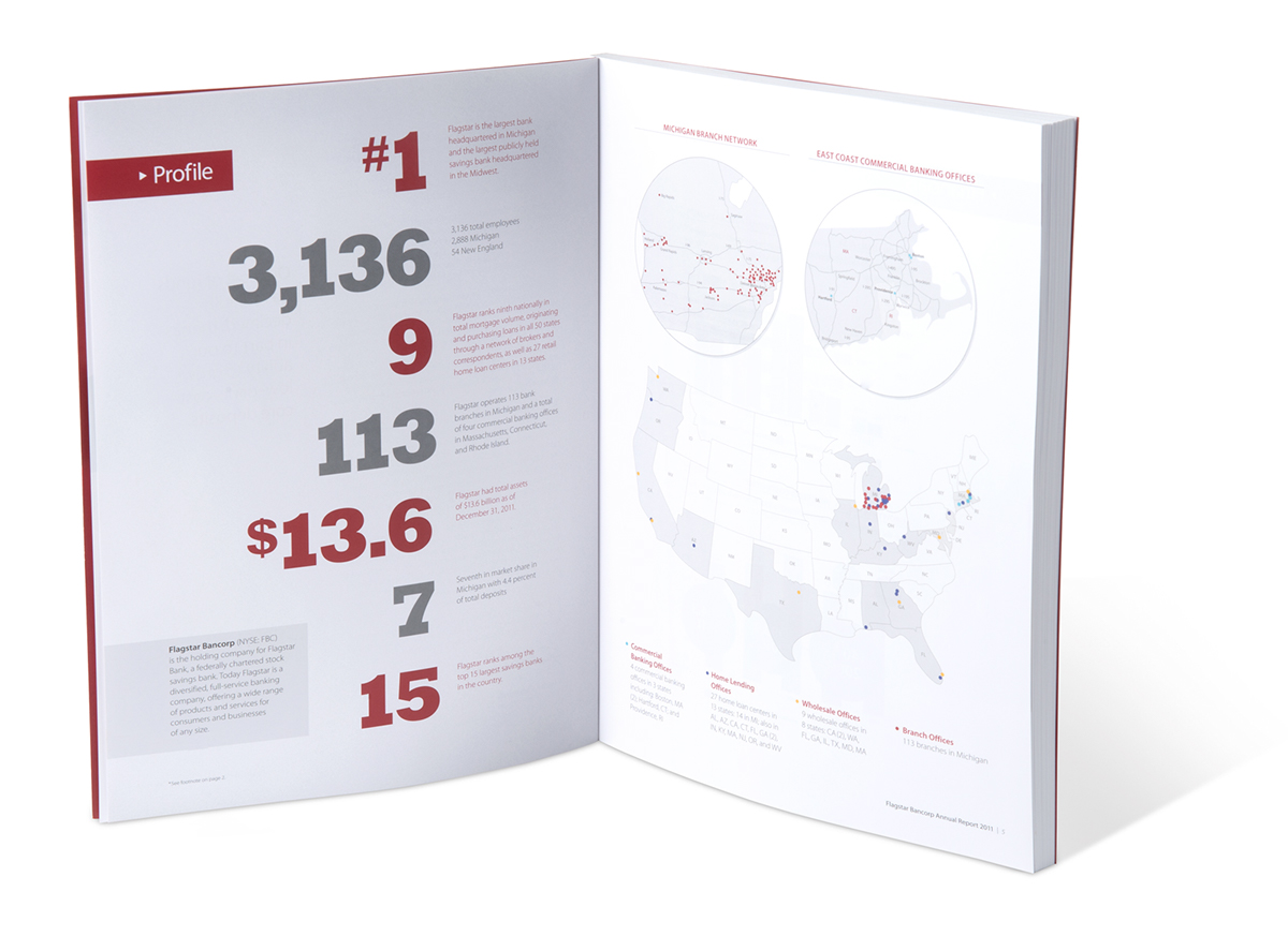 annual report InDesign styles
