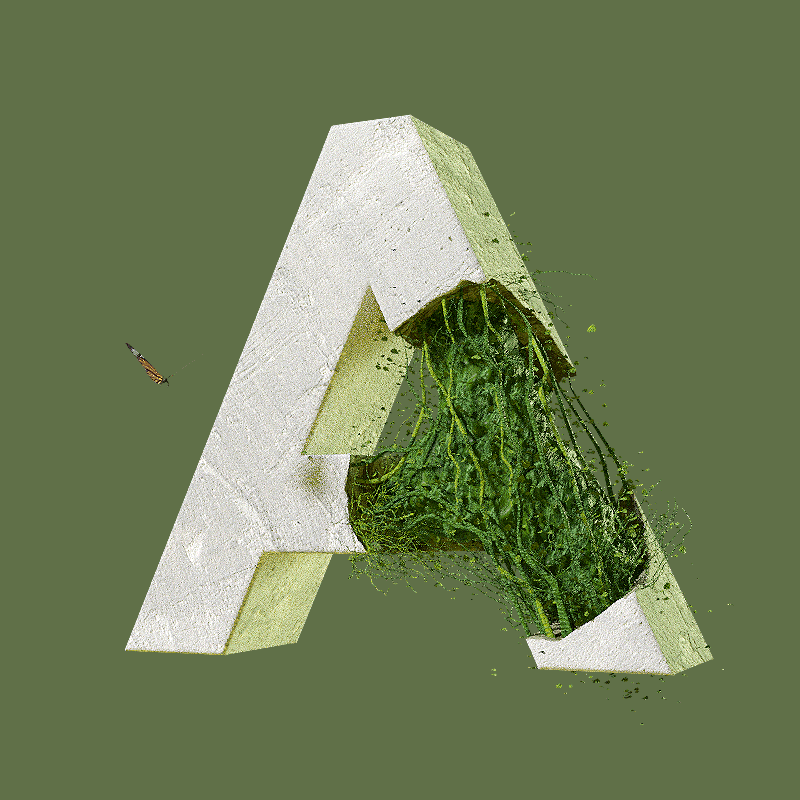 alphabet anim gif concrete letters Nature
