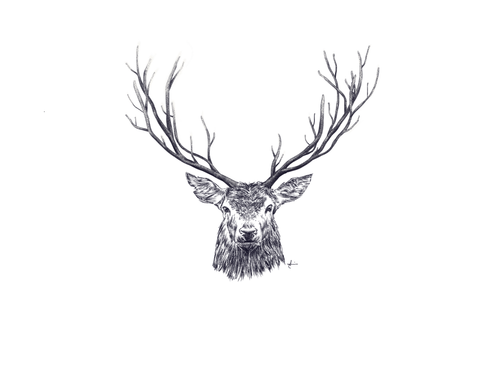 AdobeSketch,deer,tattoo,antler,Bambi,Иллюстрация,Цифровое искусство,Рисунок...