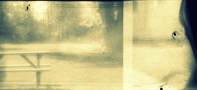 cyanotype alt process Alternative Photography Blueprint sunprint mixed media