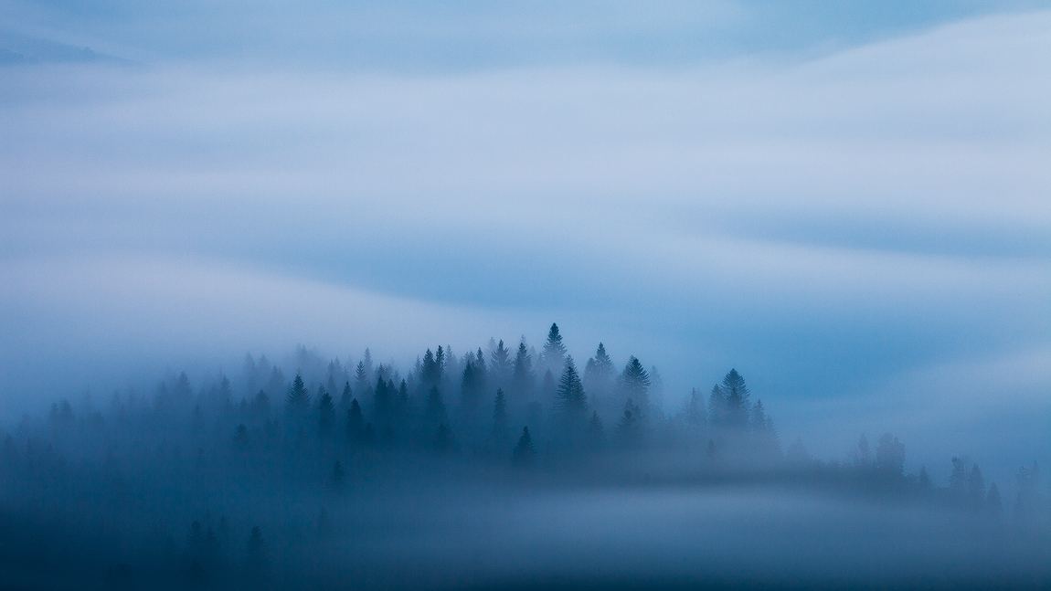 light MORNING Landscape fog clouds mist Czech Republic mood atmosphere Nature mountains DAWN twilight Sunrise slovakia