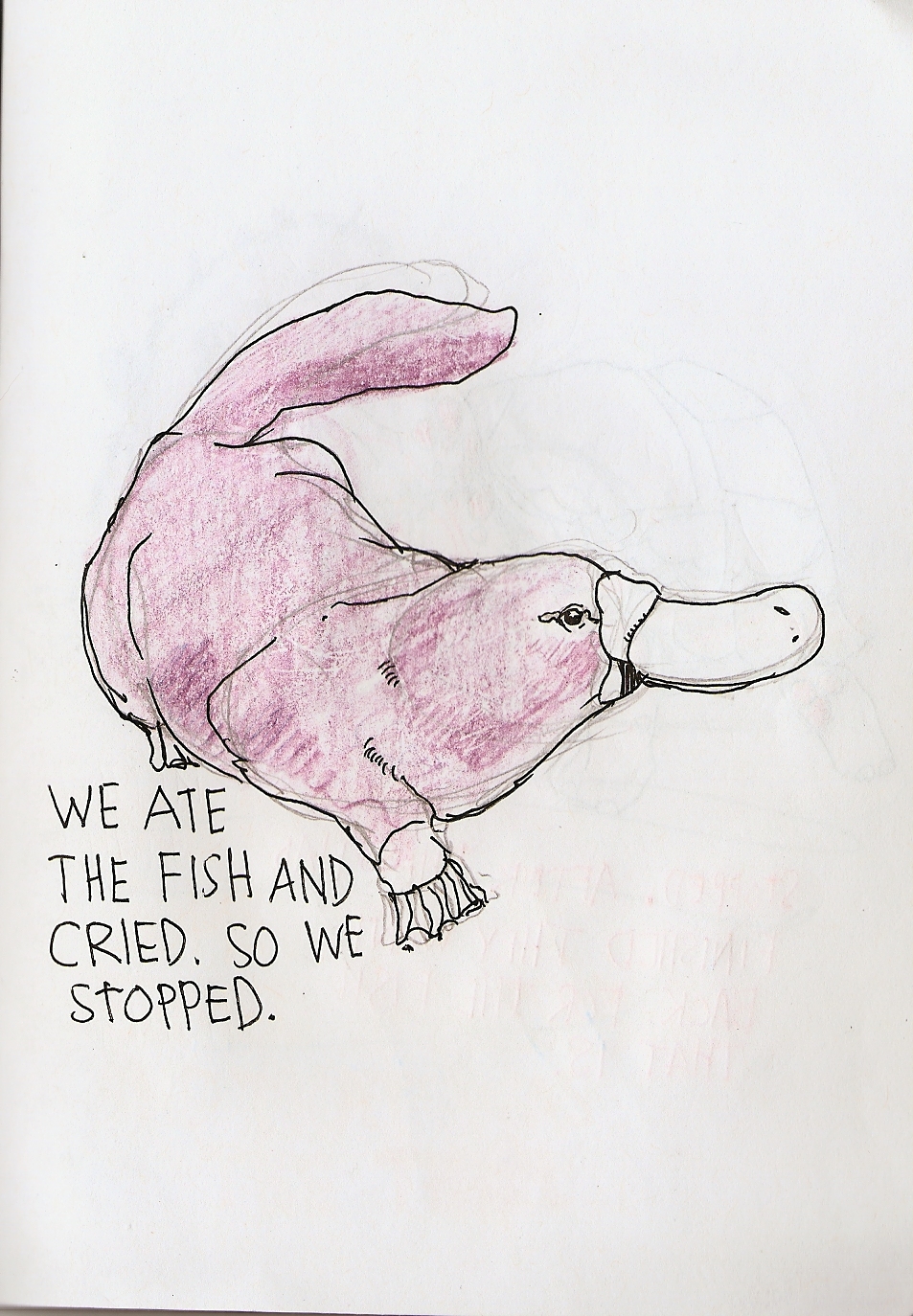 sketchbook animals colors text