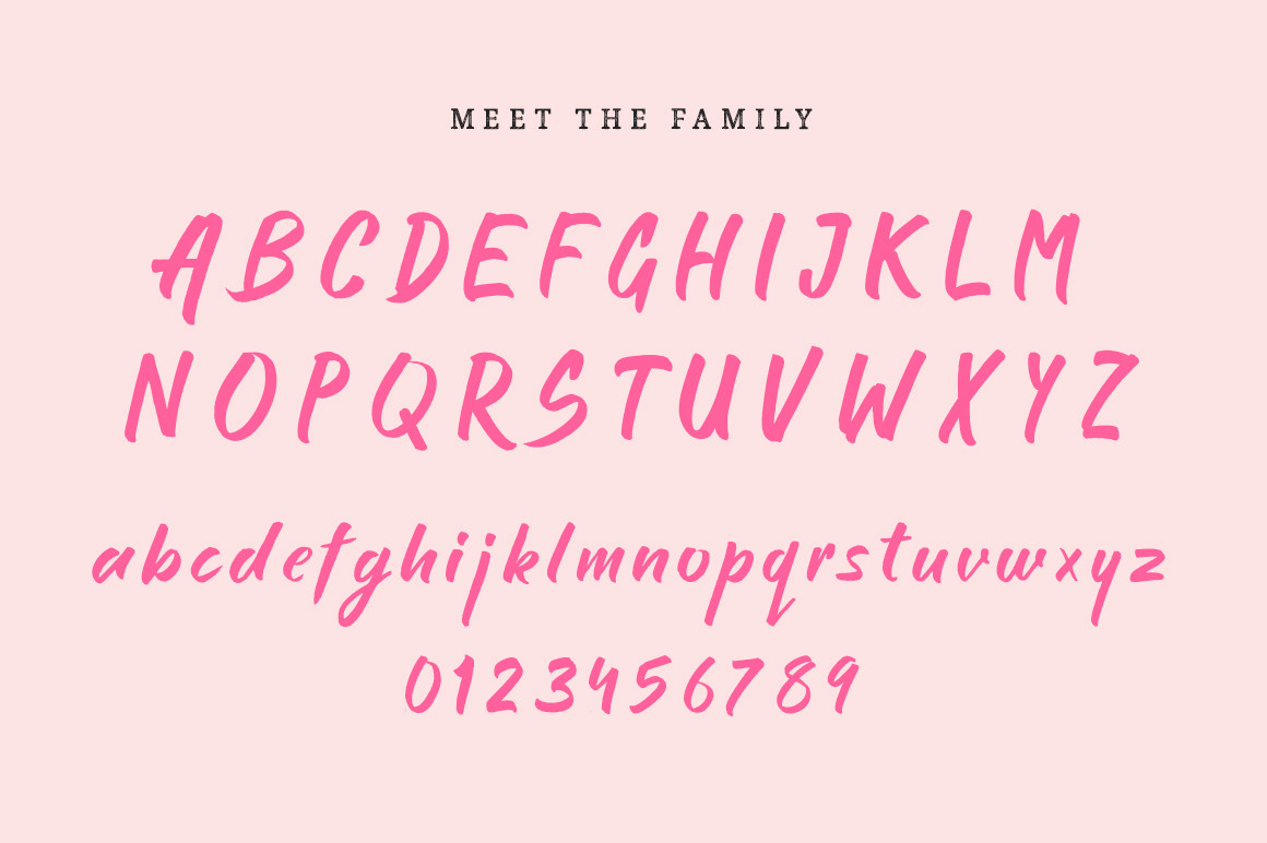 Free font Free Script Font typography   fonts