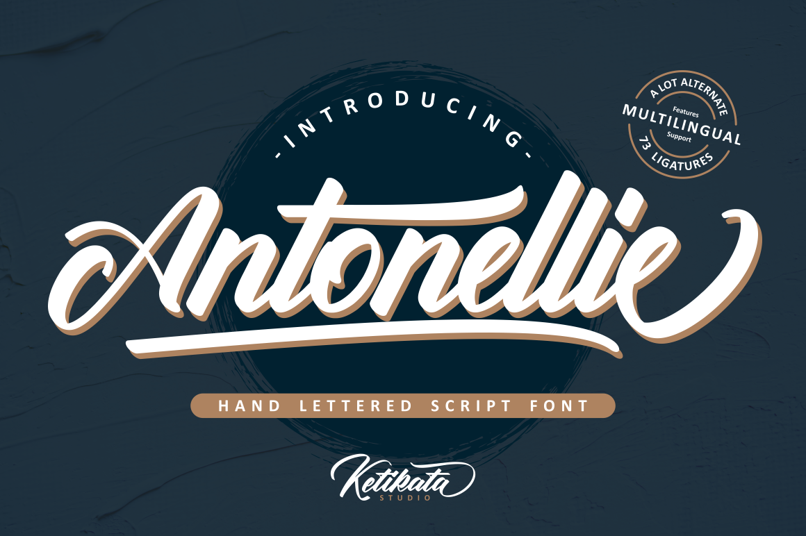 font Script type Typeface lettering Logotype typography branding Free font freebie
