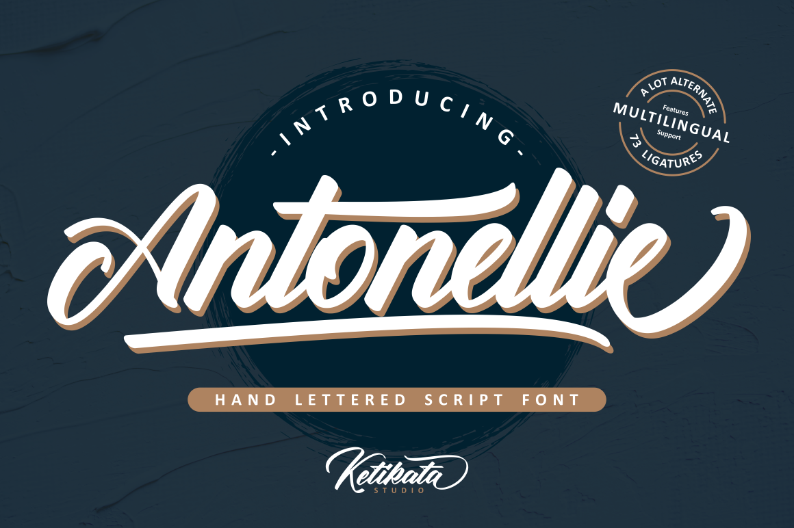 font Script type Typeface lettering Logotype typography   branding  Free font freebie