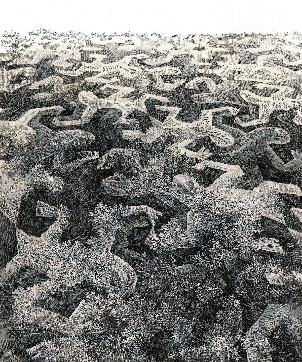 pastiche m.c.escher escher crosshatching moss Tessellations