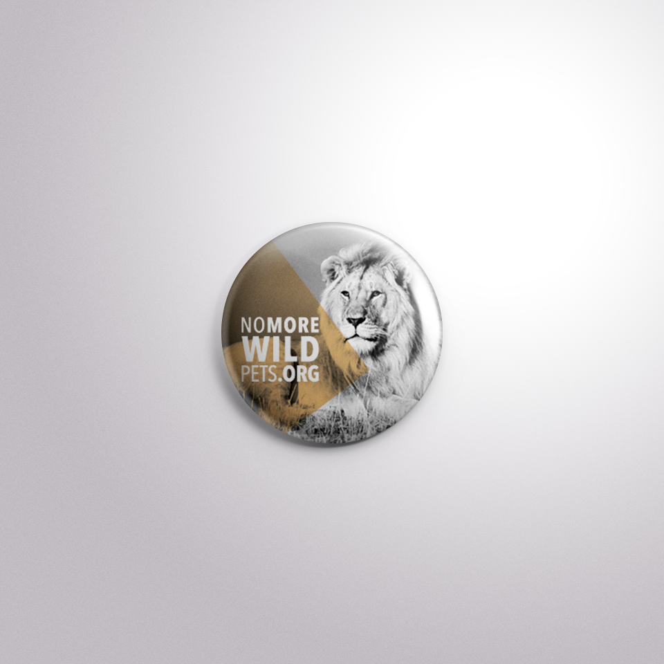 campaign non-profit poster Booklet button Form wild animals Cat wildcat lion tiger cougar leopard cheetah