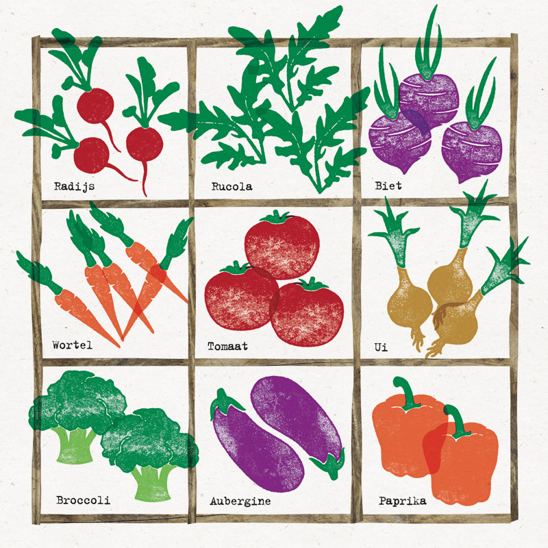 gardening square foot gardening vegetables organic Food  stamps tuinieren moestuin biologisch groente stempels