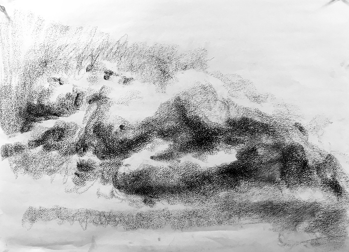 charcoal figure Nature observation portrait
