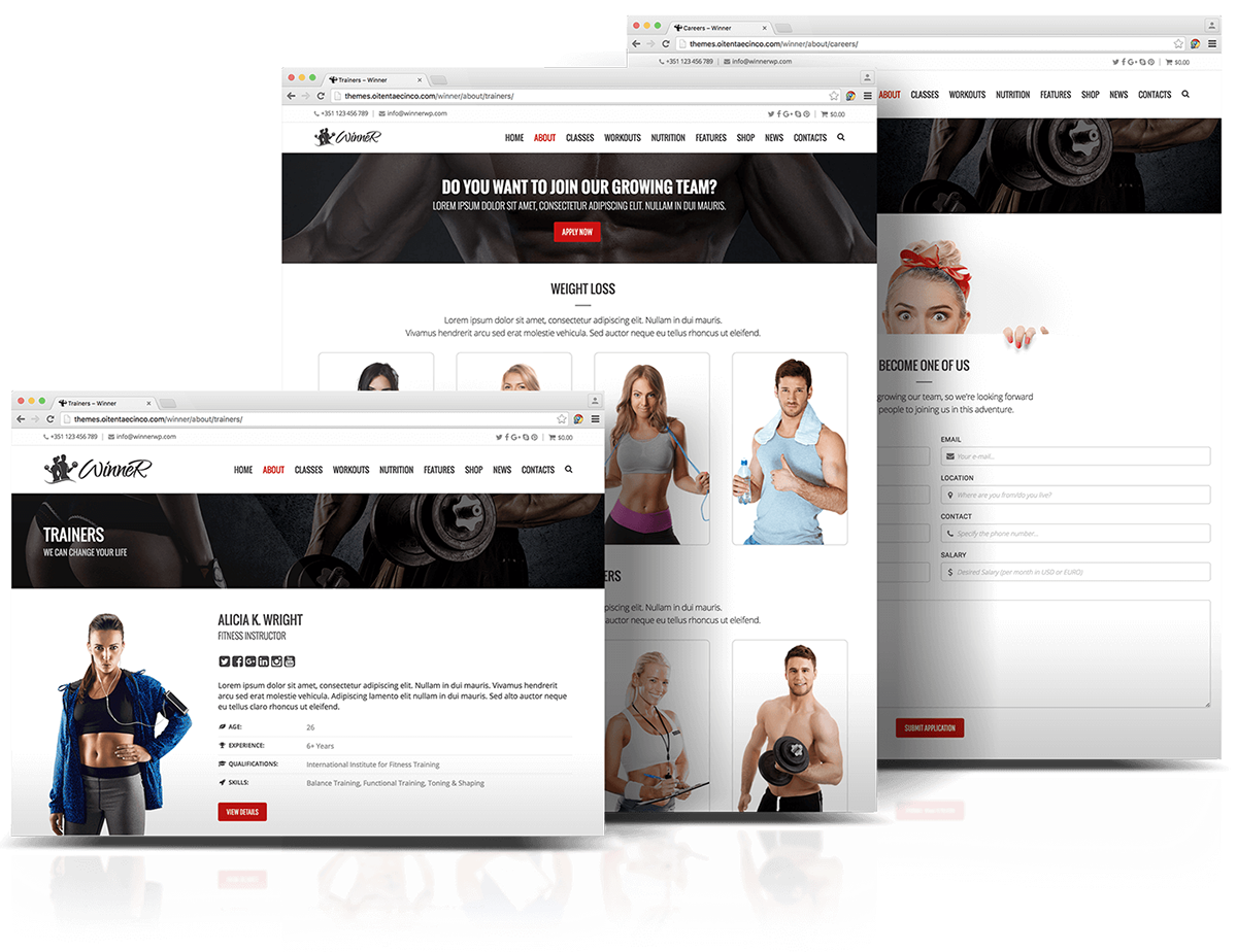wordpress html5 css3 jquery Responsive retina sliders Woocommerce Ecommerce fitness workout gym classes personal trainer