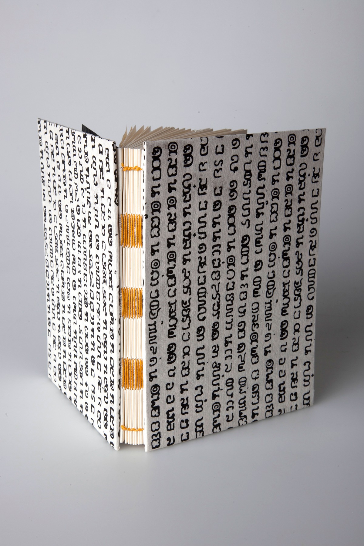 Bookbinding fine binding Leather Binding book pop up book Open Spine Binding accordion book box making