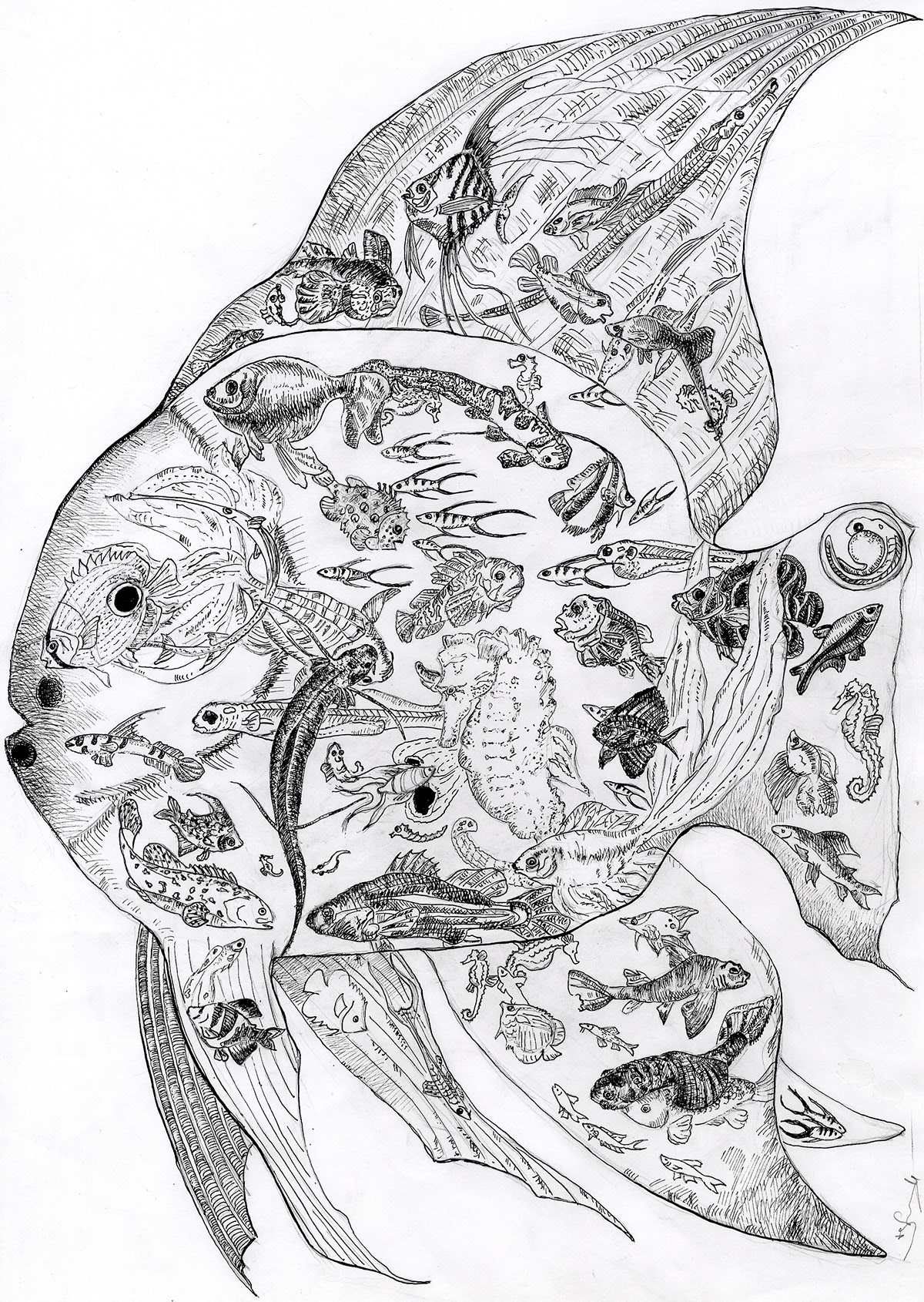 ink sketches  Kalina Hristova bird fish  butterfly