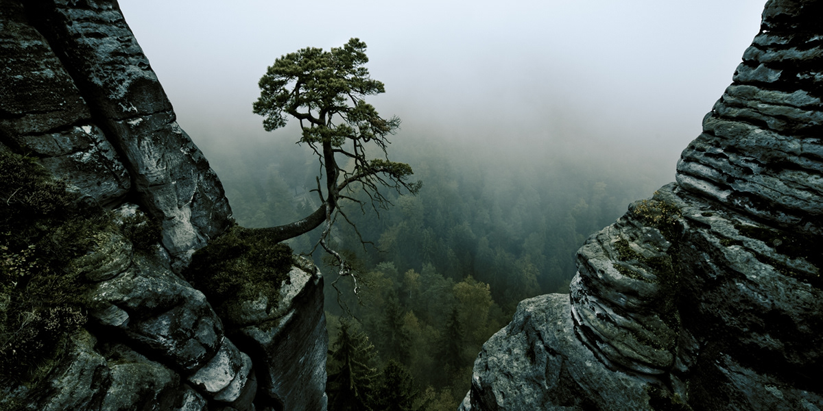 Saxony Switzerland Nikon nikkor germany landscapes Nature