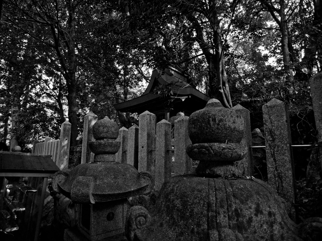 black and white bw monochrome Landscape Asuka Nara japan january Shrine Tumulus ricoh