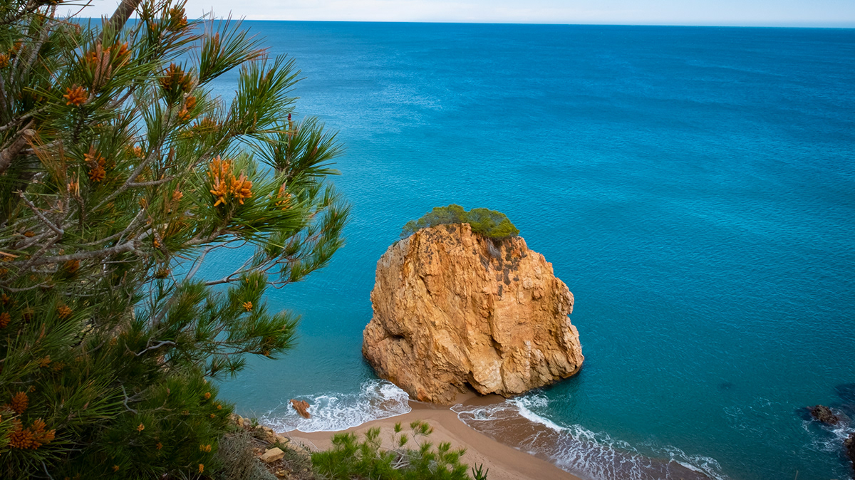 costa brava mar playa beach Landscape Nature Photography  cami de ronda illa roja Sa Riera