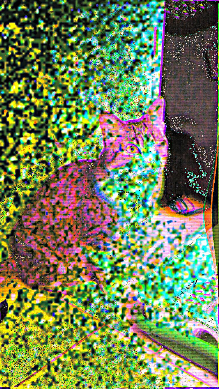 Hard glitched picture of a cat