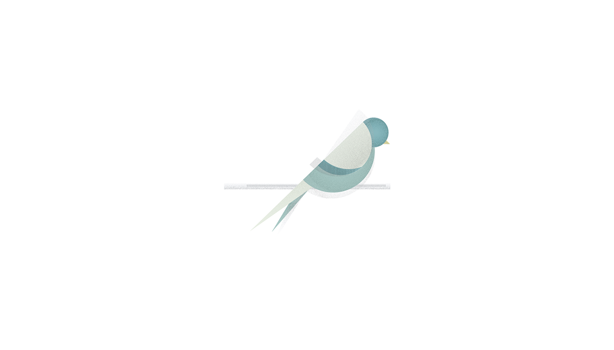 adobe birds graphic design  ILLUSTRATION  Illustrator