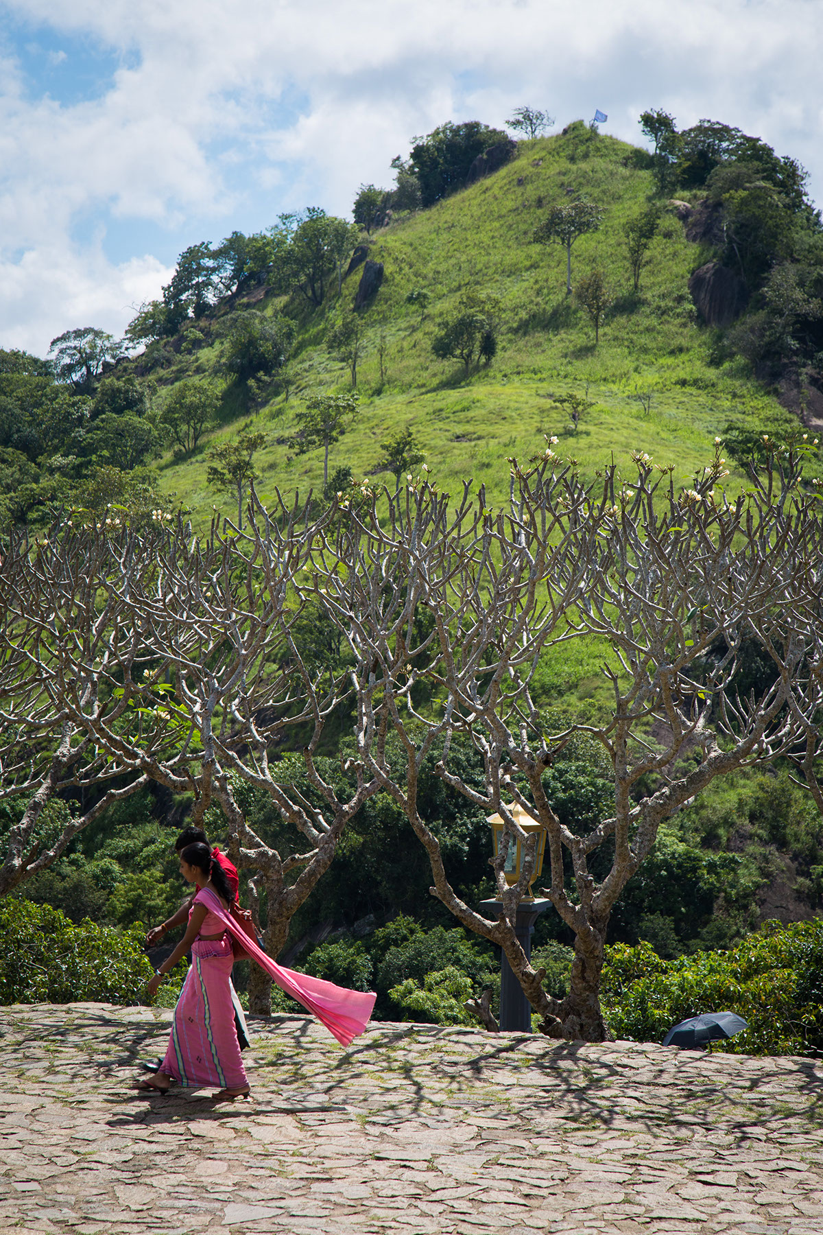 Sri lanka Travel color Nature Collaboration
