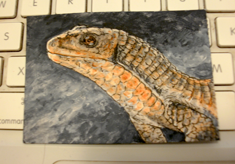 aceo paint trilobites dinosaurs scientific illustration natural history illustration GNSI artist trading cards acrylic ink rachel caauwe