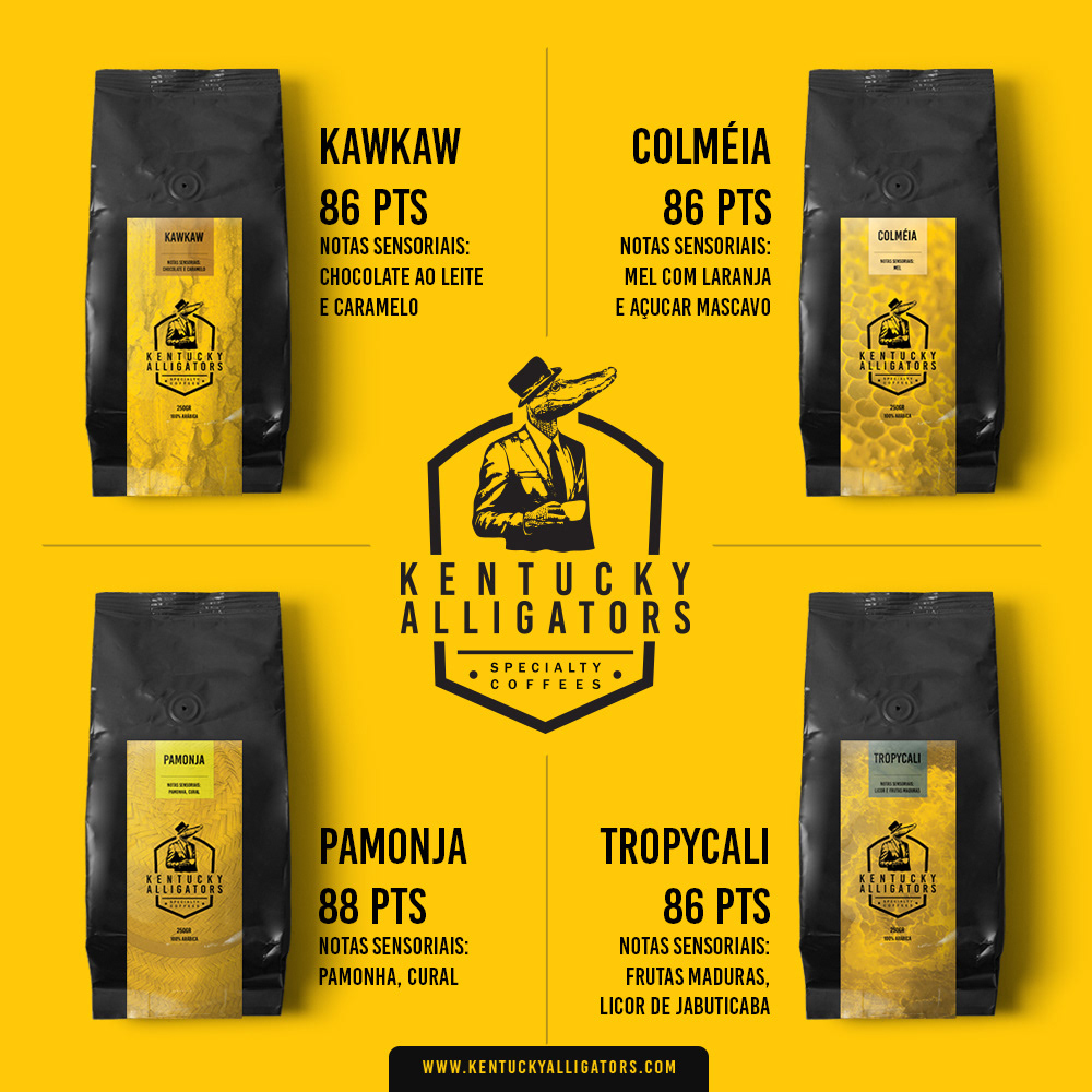 brand branding  Coffee design Illustrator package photoshop
