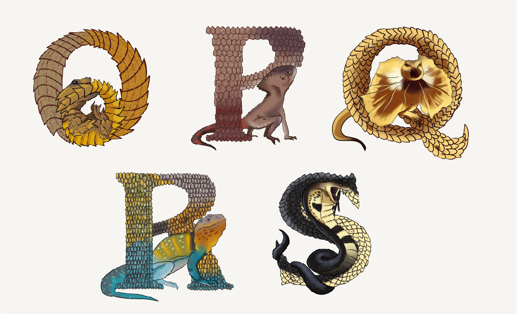alfabeto poster cartel ilustracion reptiles artedigital abecedario alphabet