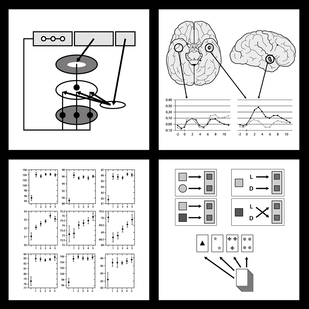 vector  Illustration brain science perception book Education