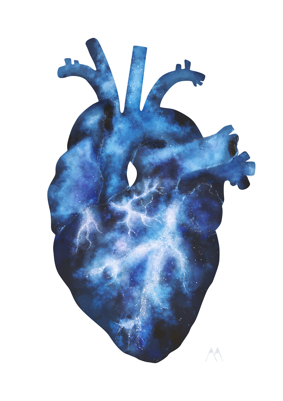 a3 cosmos free download galaxy heart Space  thank you anatomic heart poster Adobe Portfolio