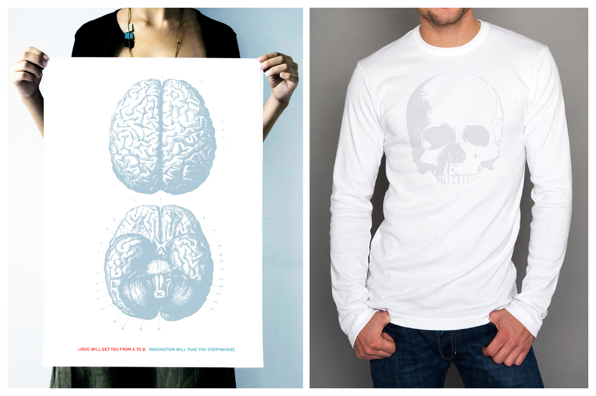 vector anatomy vintage medical diagrams human body organs skull skeleton bones heart hands feet lungs