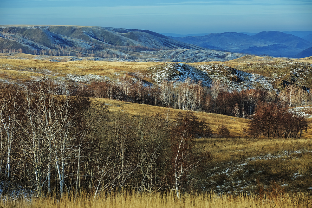 Russia prairie Landscape