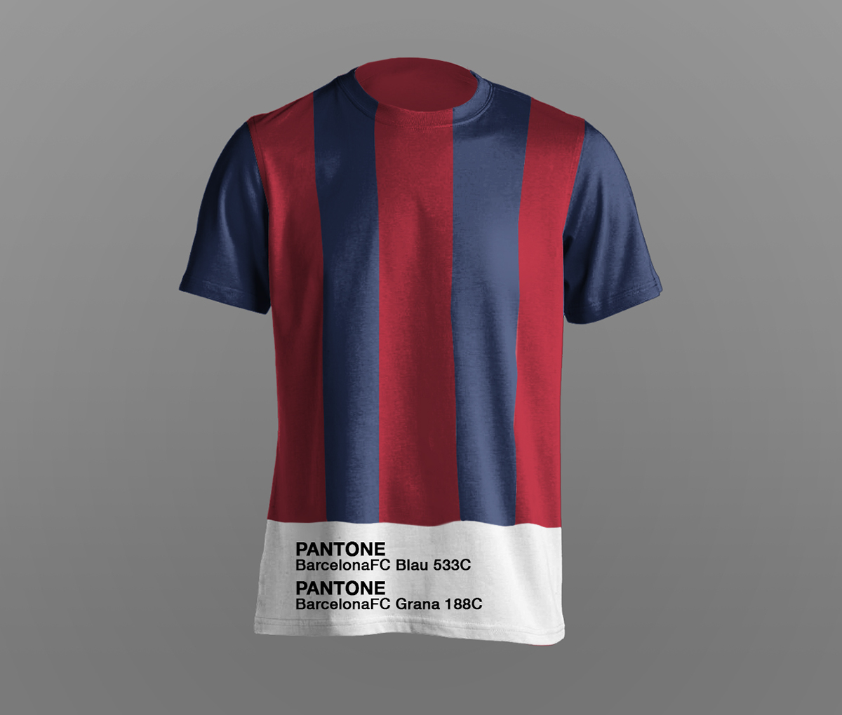 FC Barcelona Pantone Canvas