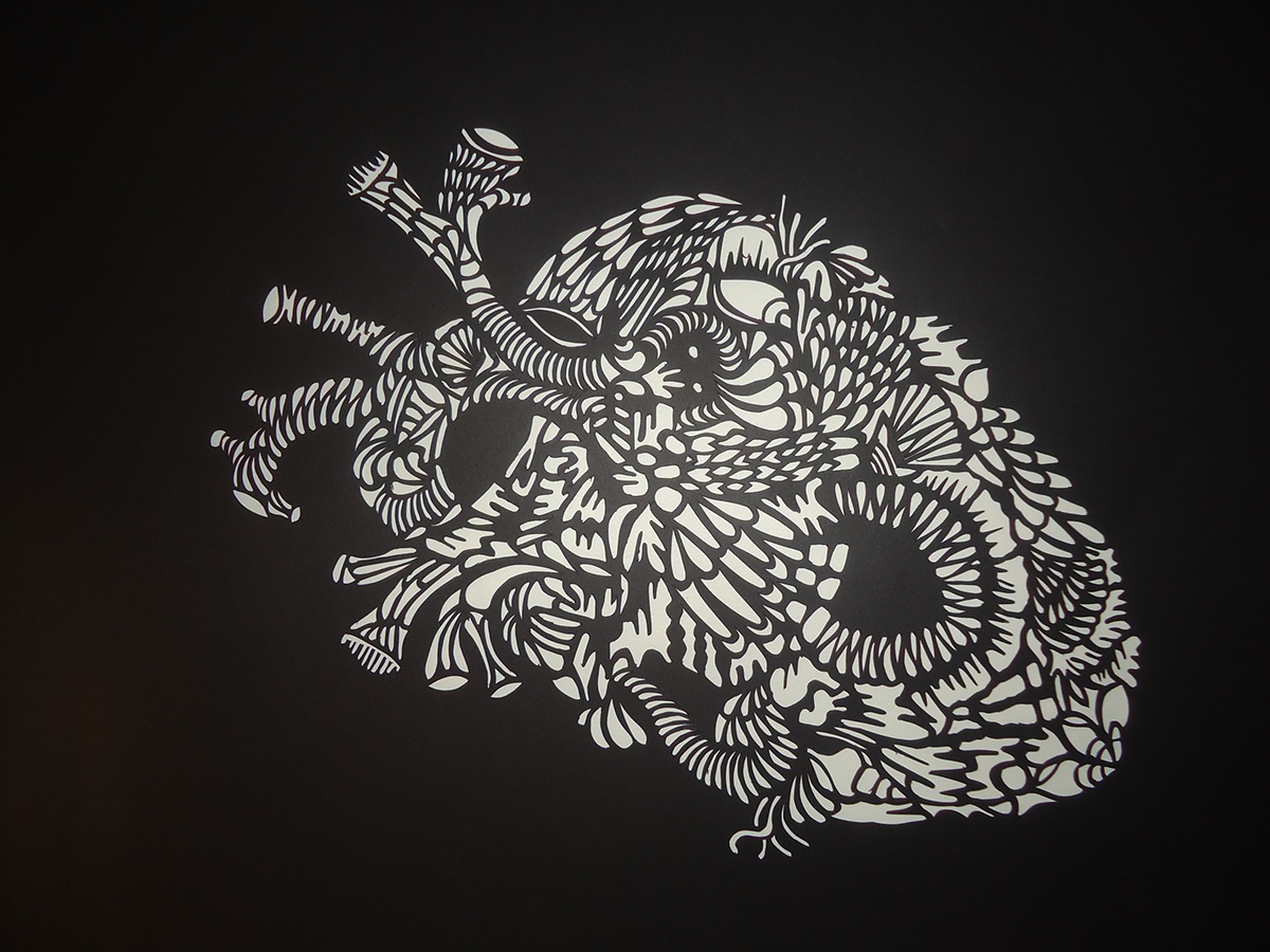heart reef perspex art paper photograph colour Exhibition  student 3D design university work print