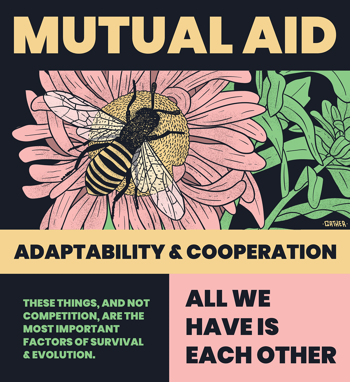 cooperation mutual aid adaptability evolution anarchism bee flower floral Nature symbiosis