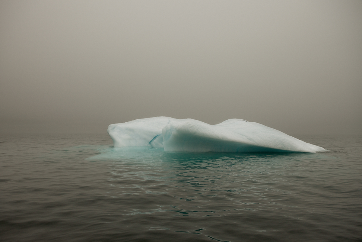 icebergs Melt water Ocean Greenland Newfoundland sea fog mist ice simon Harsent Melt Portraitof an iceberg