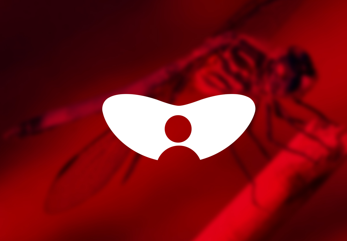logo brand identity Spycam India simple bold