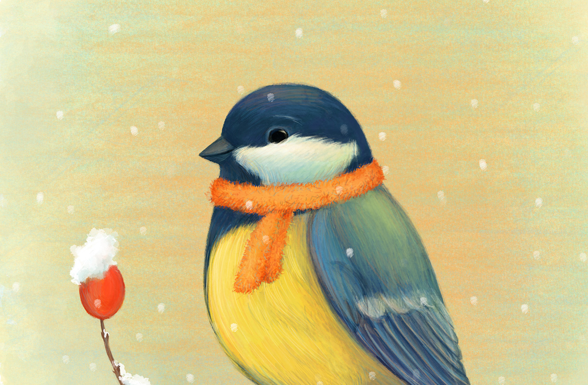 bird TIT orange winter snow postcard
