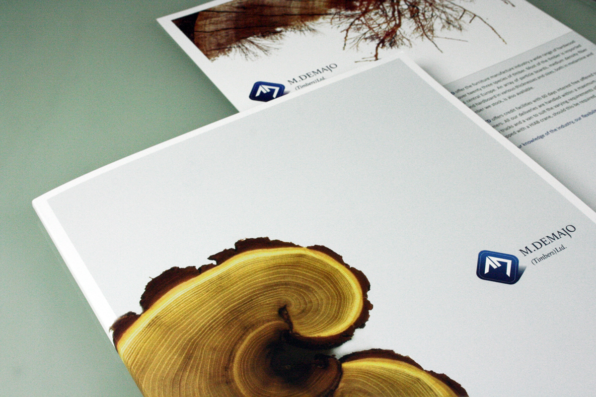 educational brochure wood folder
