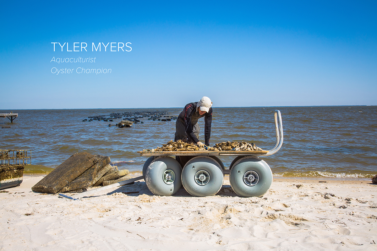 oysters Dauphin Island vacation photos beach osyer farming farming