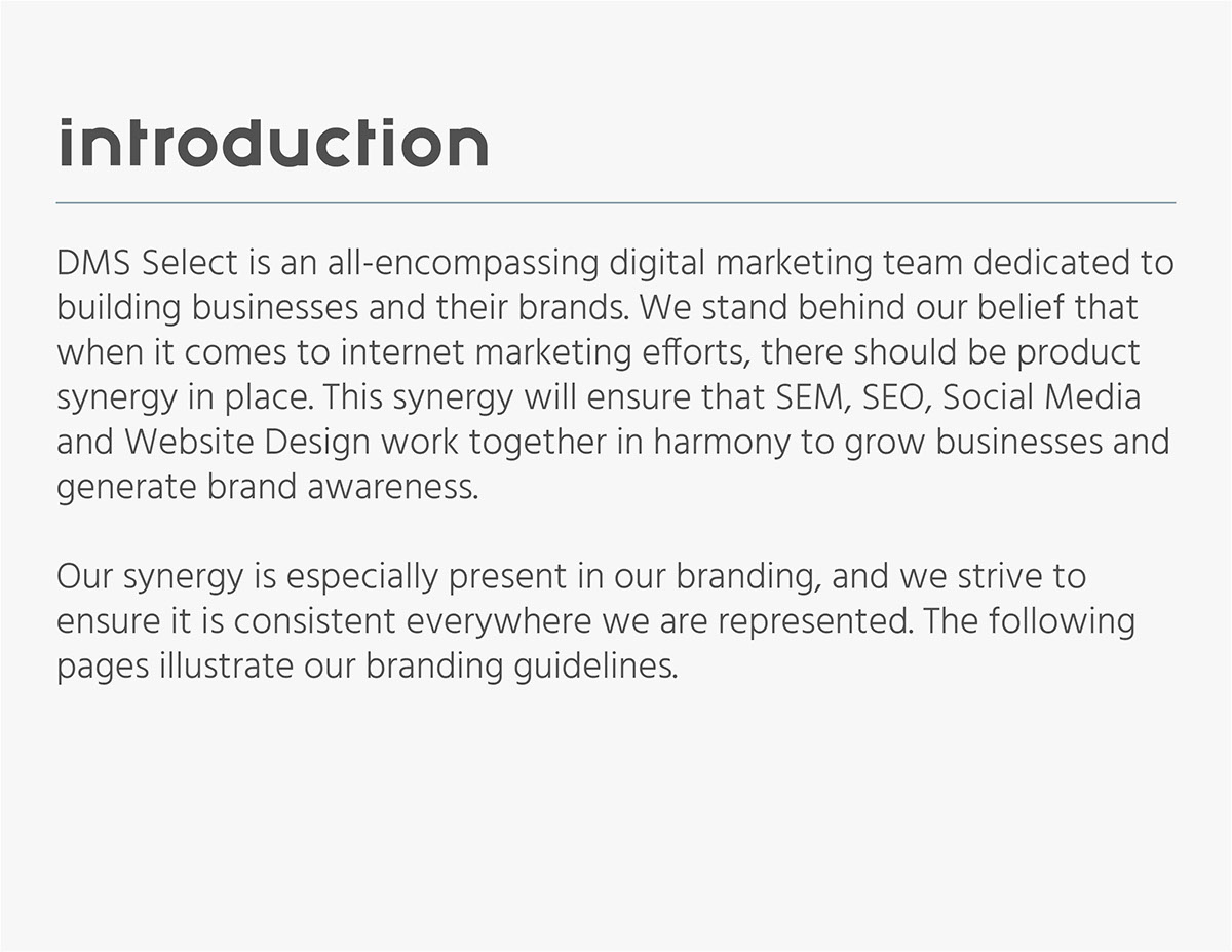 brand branding  Website brand book graphic design logo