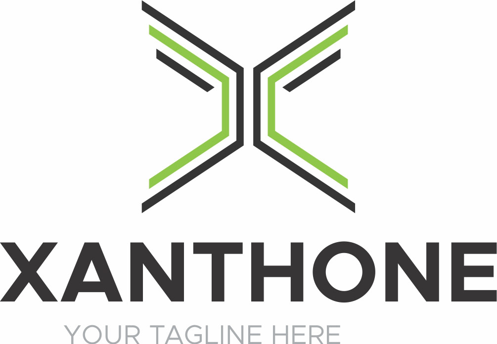 logo Logo Design Logotype logos design logos Xanthone Logo