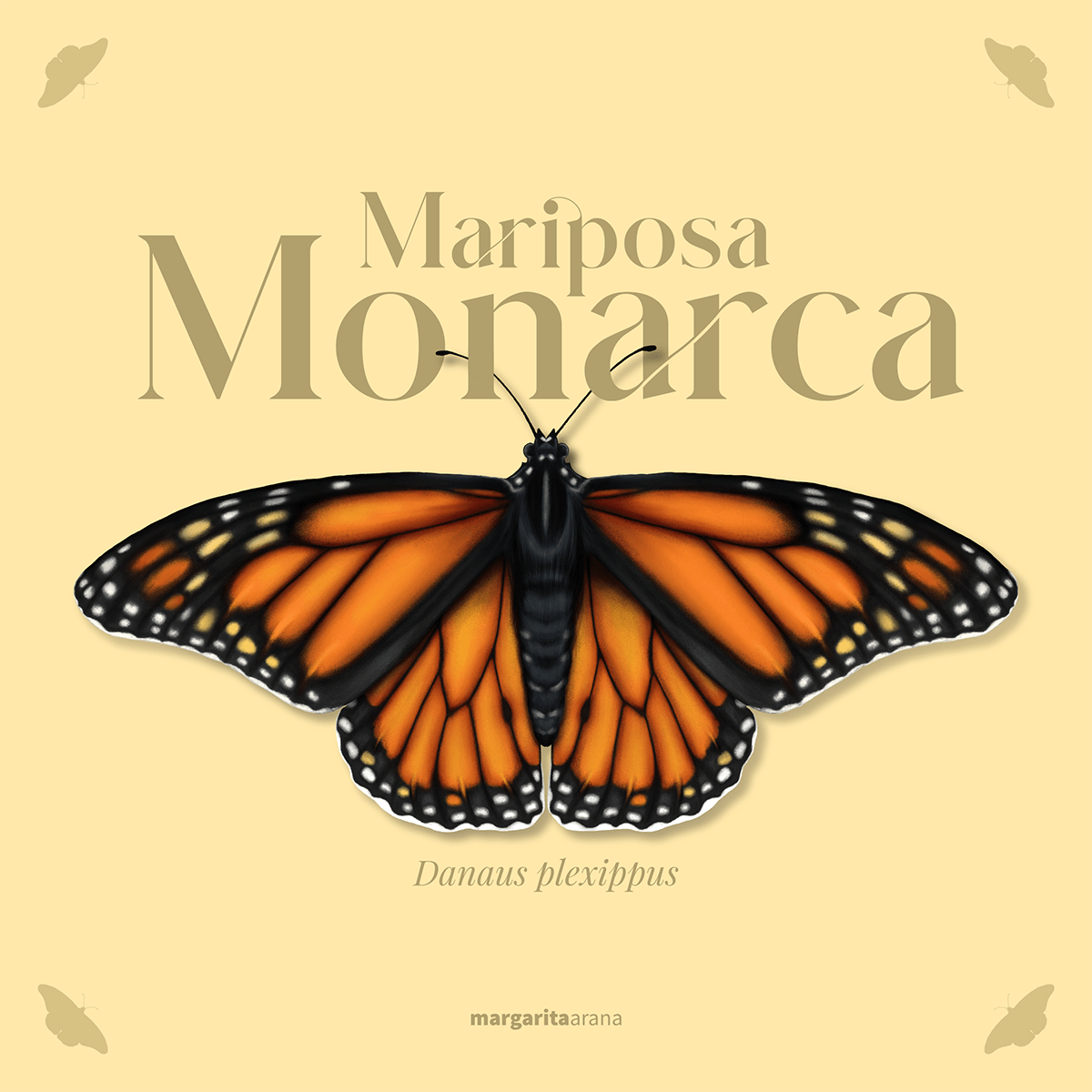 ciencia diseño gráfico entomología ilustracion ilustración científica ilustración digital ilustración entomológica ilustración naturalista mariposa monarca type