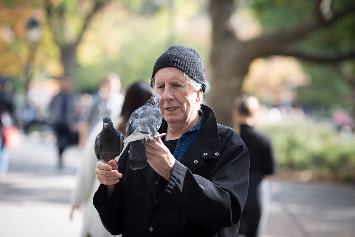 portraits people with pigeons street photography pigeons
