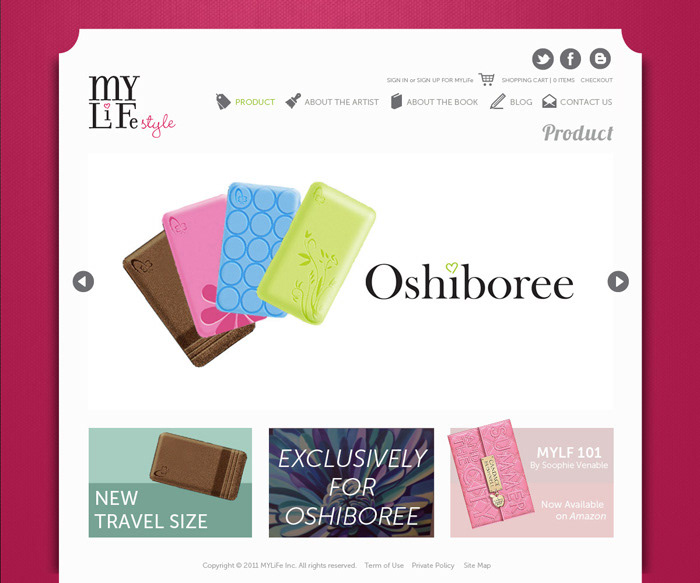 Web pink feminine colorful type Blog concept
