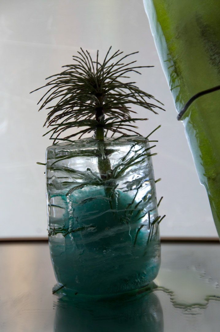 plants jars environment ice