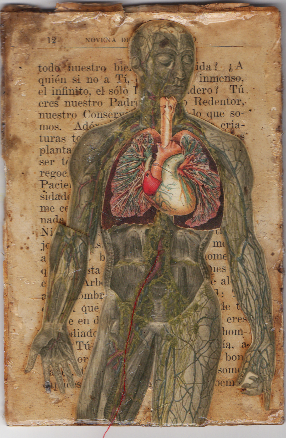 collage  anatomy acrylic handson prayerbook