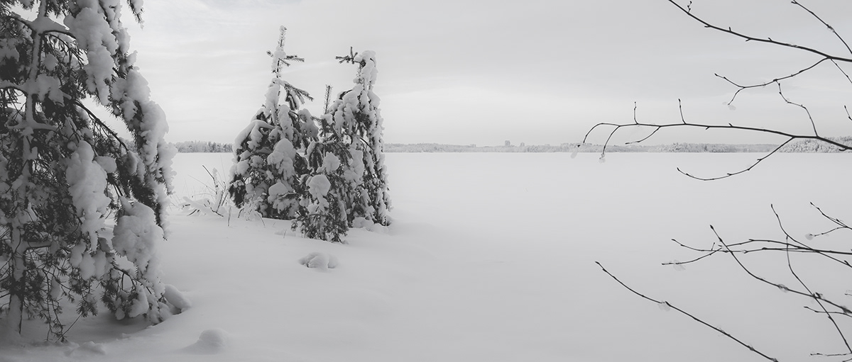 Espoo finland forest Lapland Nature otaniemi Photography  snow winter WinterPhotography