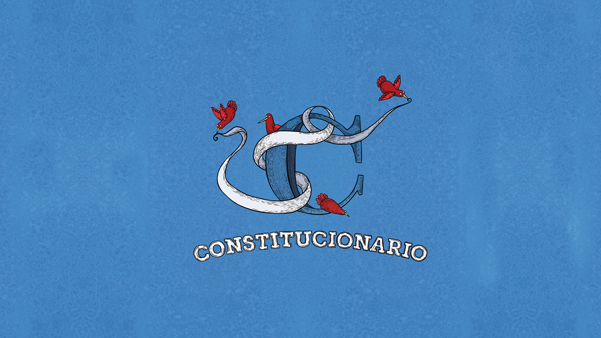 Nueva Constitución Constitucionario constitucion