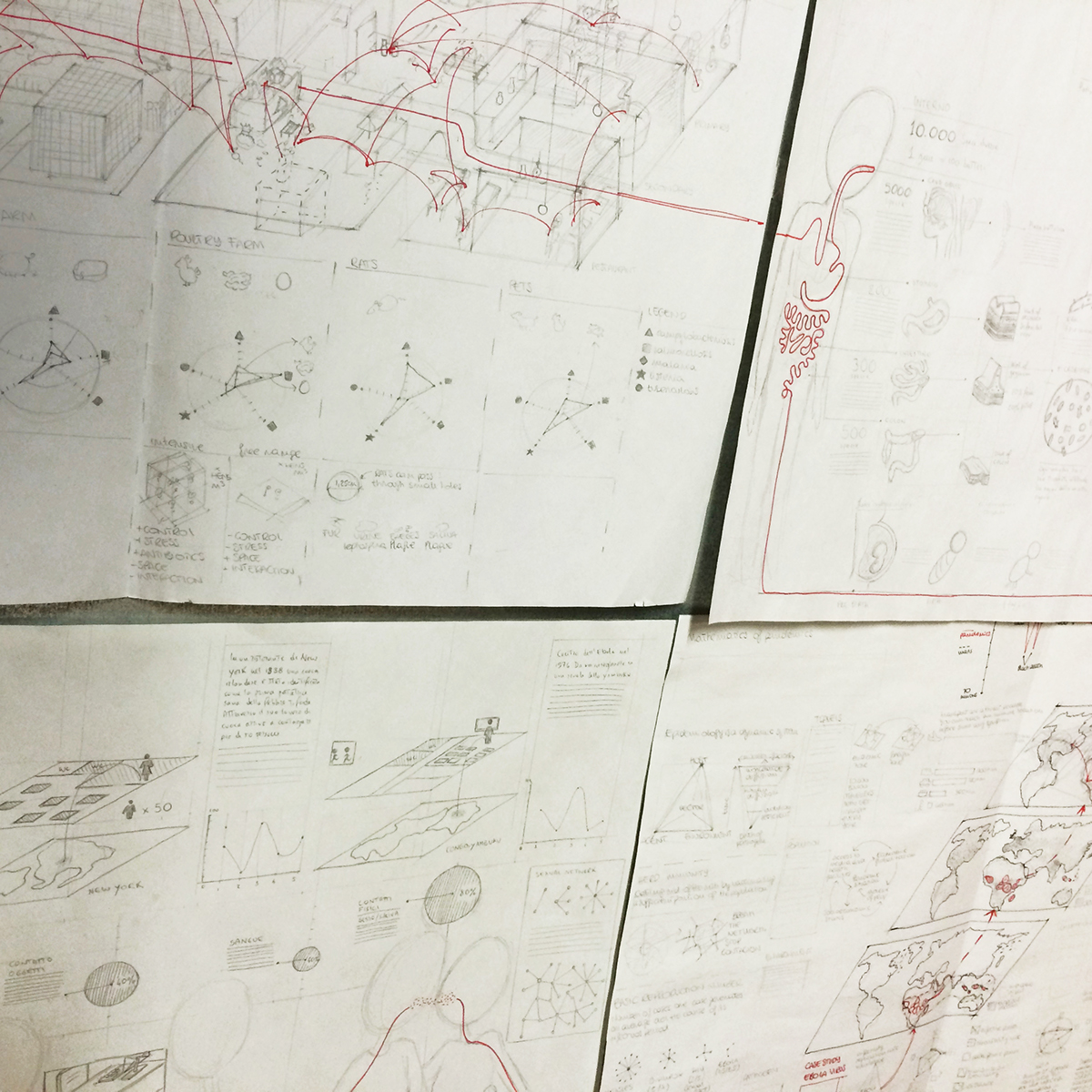 #atlas #technology #graphicDesign #illustration #datavisualization #data #biology #microbiology #networks