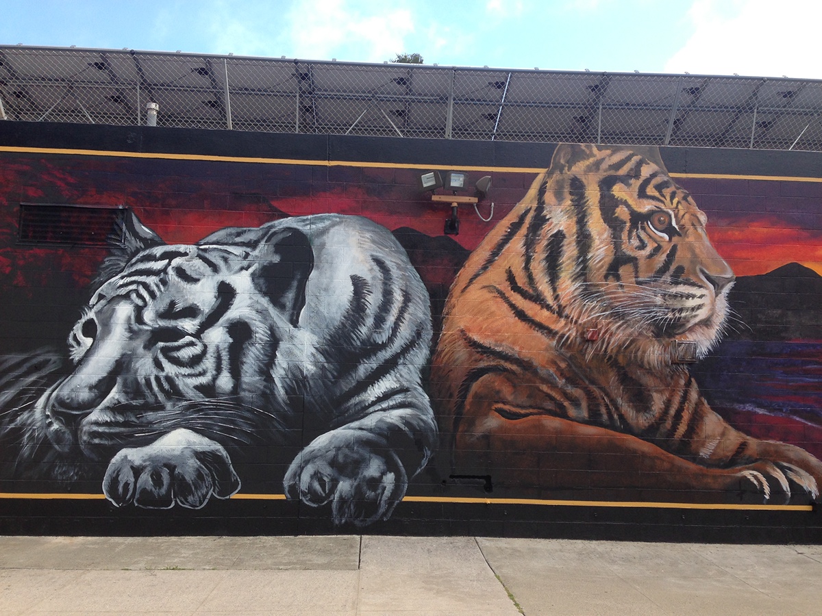 Mural wall art tiger tigers High School large scale swim team Wrestling