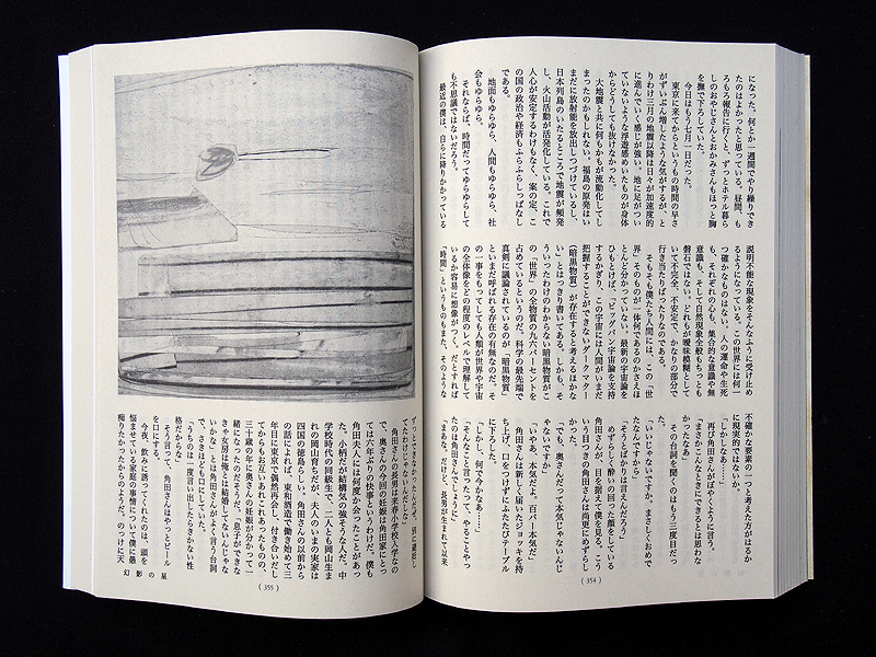 Pencil drawing pencil colored pencil book illustrations monochrome contrast japan japanese literature